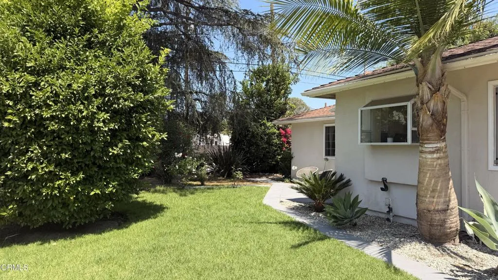 Front Yard Citrus Trees