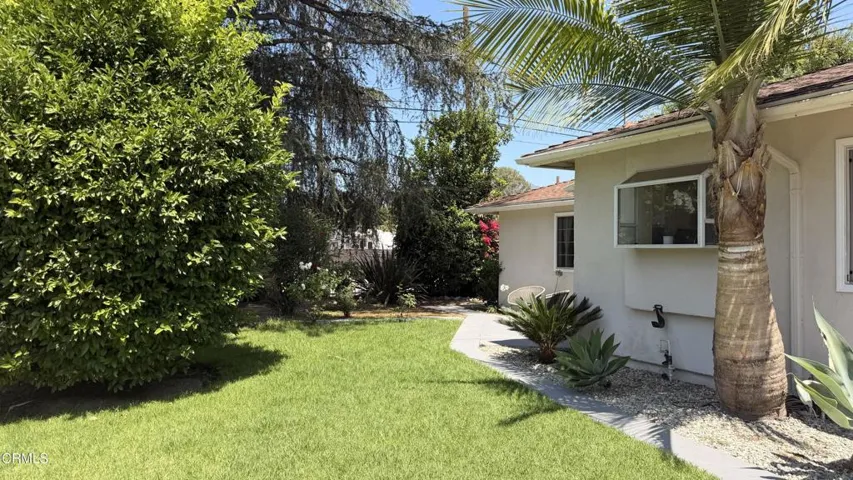 Front Yard Citrus Trees