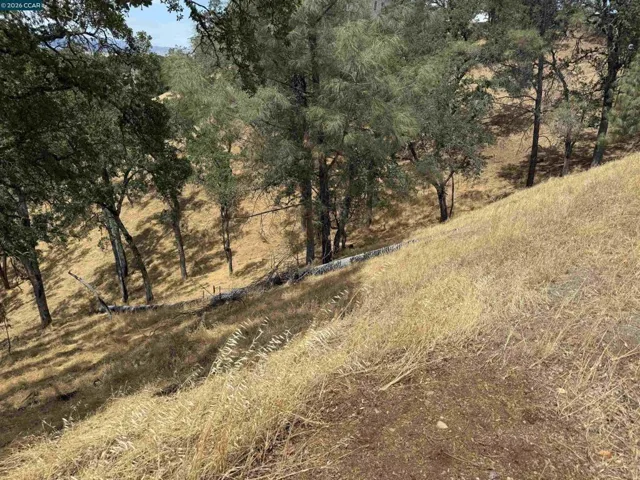 1123 Steele Canyon Rd., Napa, California 94558