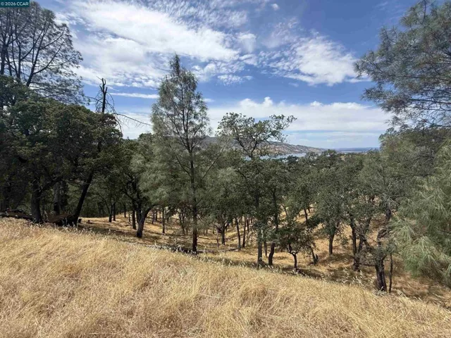 1123 Steele Canyon Rd., Napa, California 94558