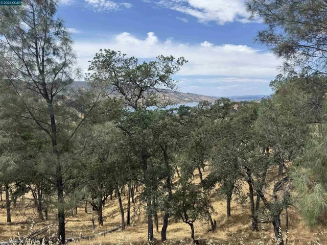 1123 Steele Canyon Rd., Napa, California 94558