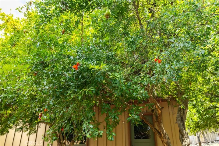 370 Pacific Avenue, Paso Robles, California 93446