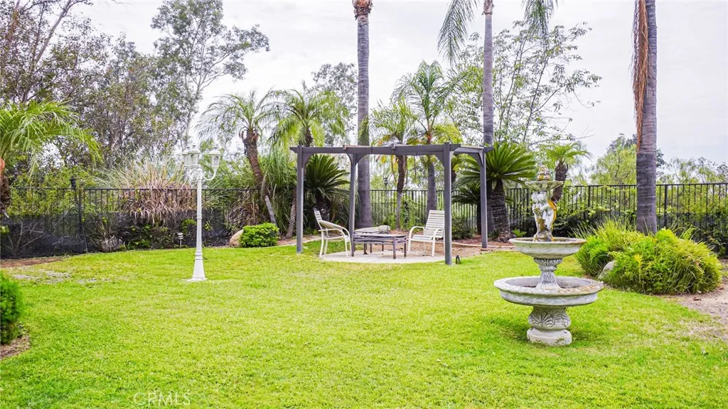 Large back yard