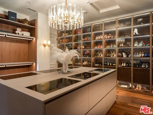 Primary Closet