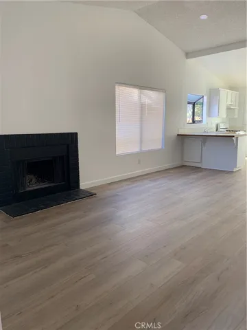 Living room/Kitchen
