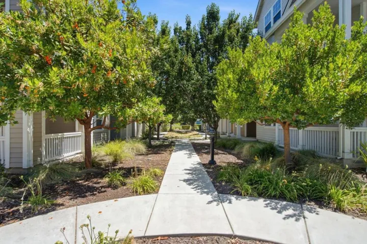 350 Circuit Way, Mountain View, California 94043