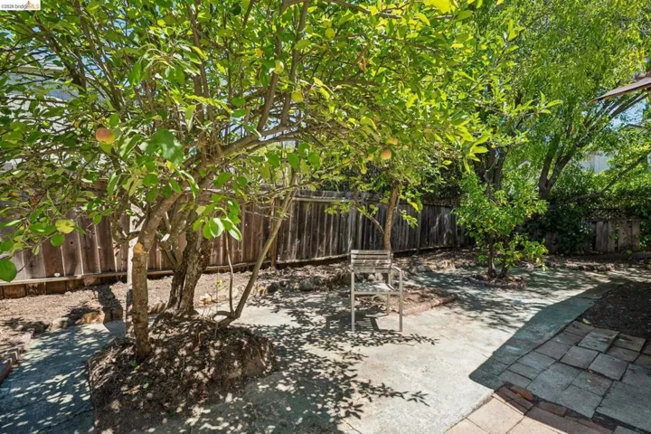 1810 3rd Ave, Walnut Creek, California 94597