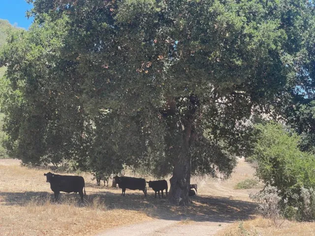 0 E Carmel Valley Road, Greenfield, California 93927