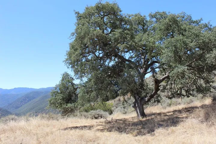 0 E Carmel Valley Road, Greenfield, California 93927