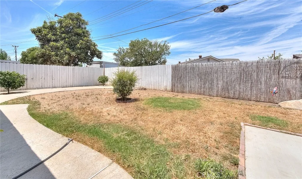 Backyard 3