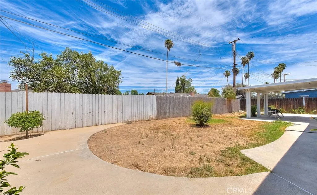 Backyard 4