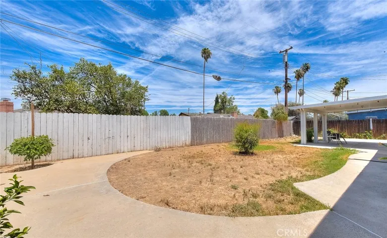 Backyard 4