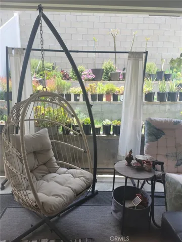 Old Photo of Backyard Taken from the Covered Patio