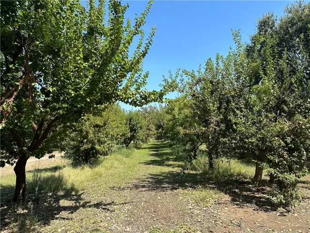 3860 Vadney Avenue, Vina, California 96092