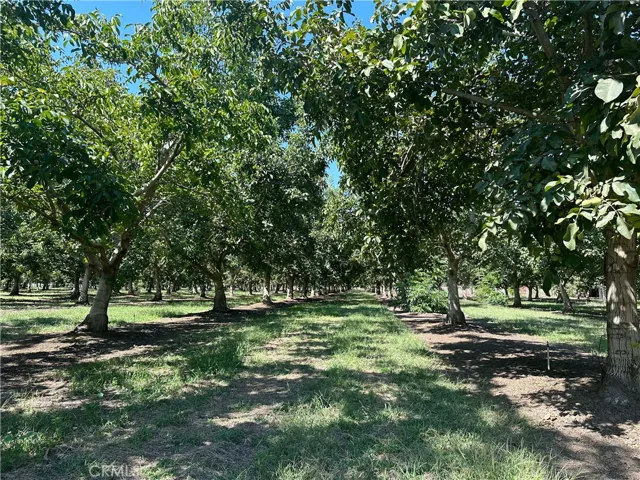 3860 Vadney Avenue, Vina, California 96092