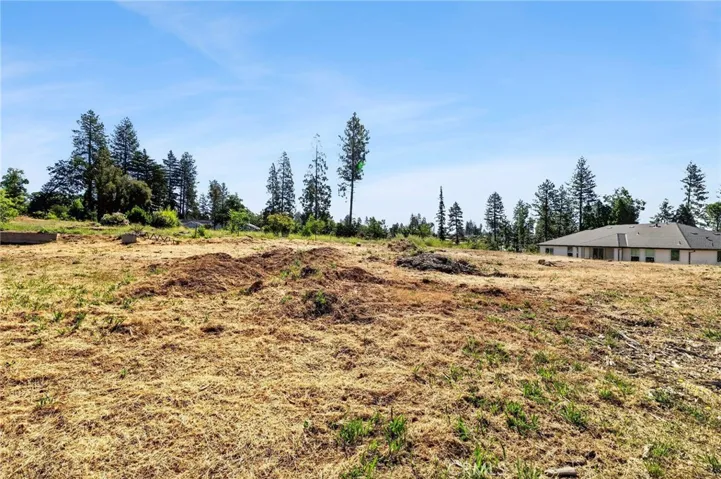 1029 Wagstaff, Paradise, California 95969