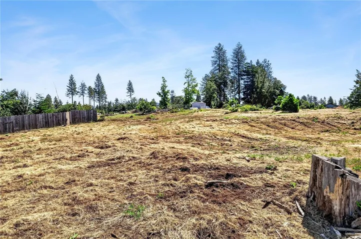 1029 Wagstaff, Paradise, California 95969
