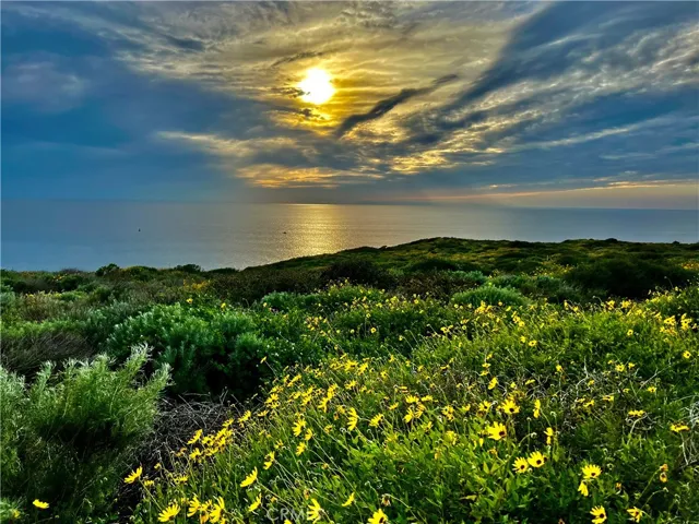 26972 Mill Pond Road 30, Dana Point, California 92624