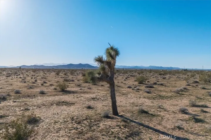 61628 Jupiter Drive, Joshua Tree, California 92252