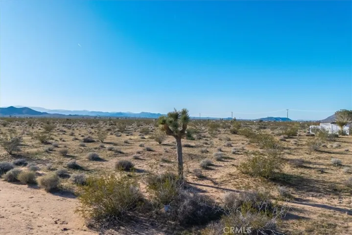 61628 Jupiter Drive, Joshua Tree, California 92252