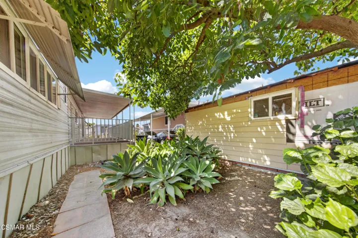 Sideyard