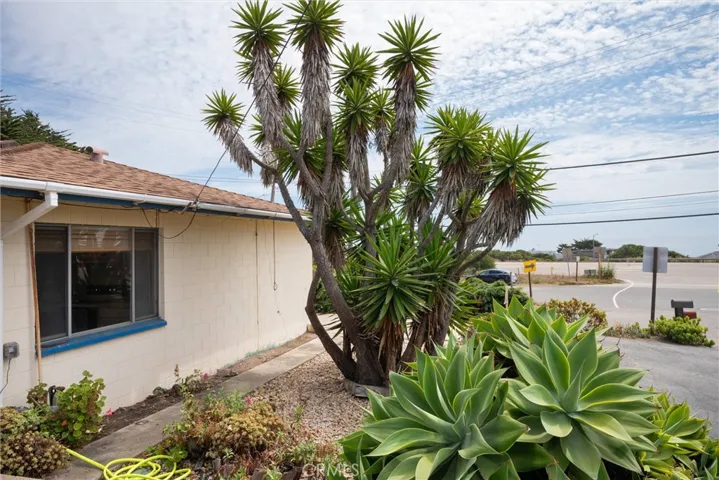 110 Chaney, Cayucos, California 93430