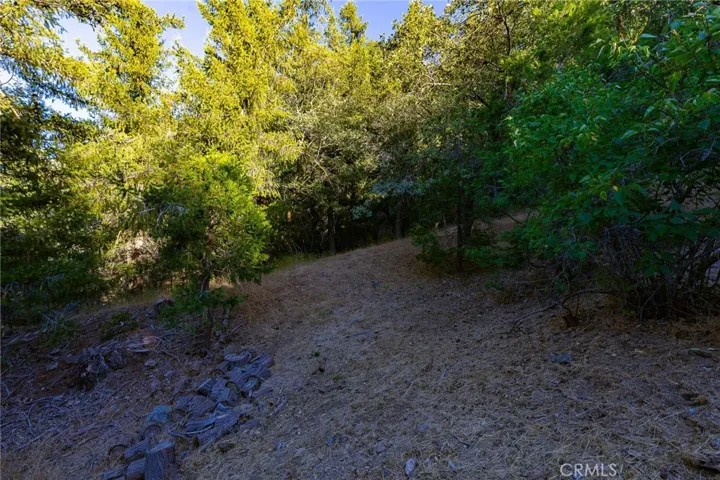 21747 Ridge Drive, Cedarpines Park, California 92322