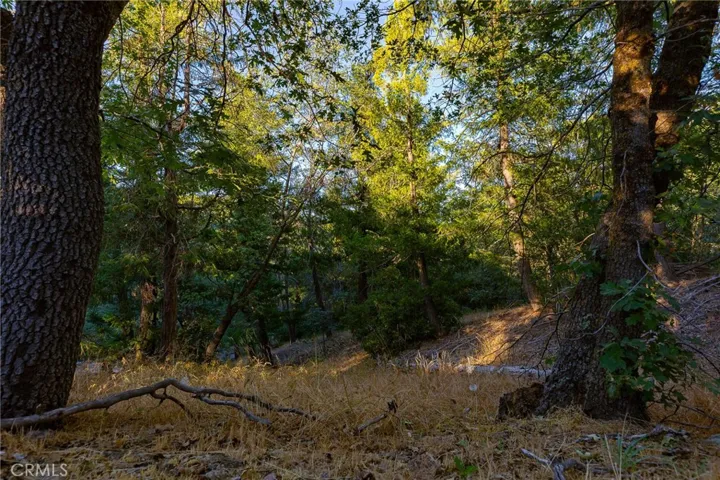 21747 Ridge Drive, Cedarpines Park, California 92322