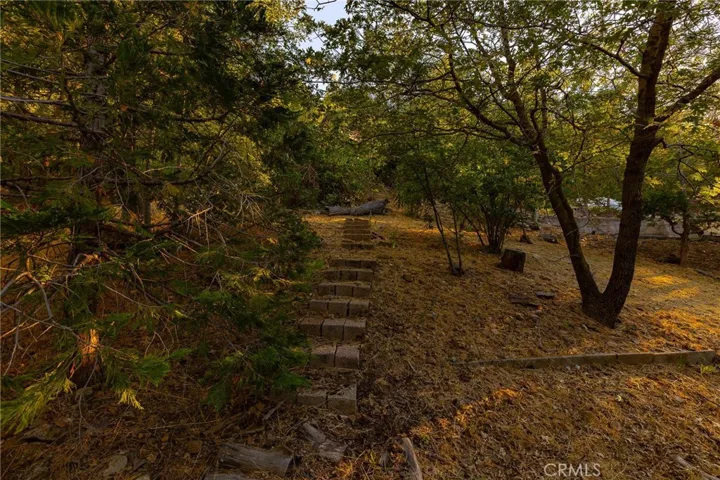 21747 Ridge Drive, Cedarpines Park, California 92322