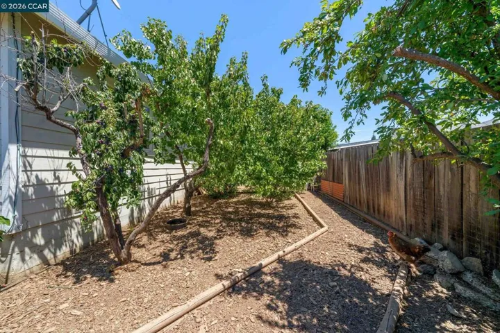 1361 La Vista Ave, Concord, California 94521