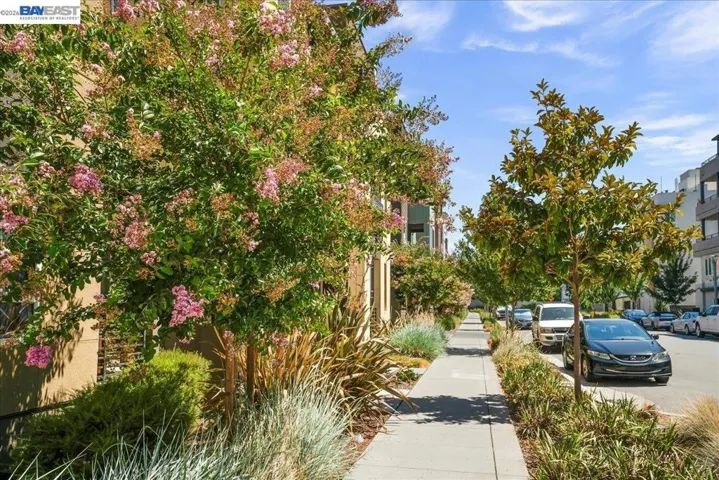 45378 Tom Blalock St 202, Fremont, California 94539
