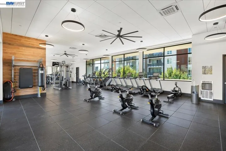 45378 Tom Blalock St 202, Fremont, California 94539