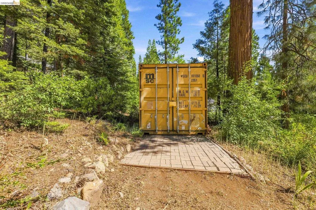 Yellow shipping container structure set on a paver base, surrounded by mature trees and natural landscaping