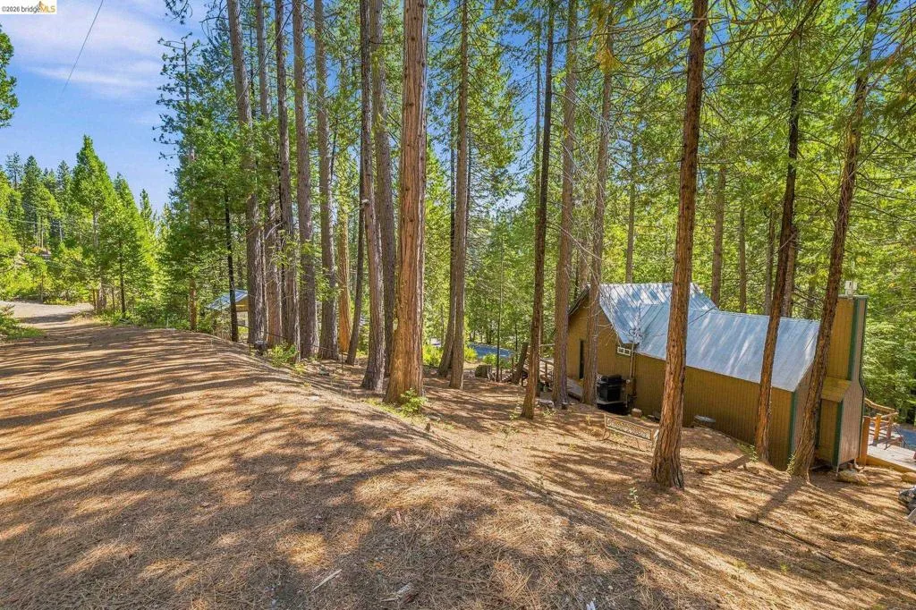 Wooded property featuring a rustic-style home with a metal roof