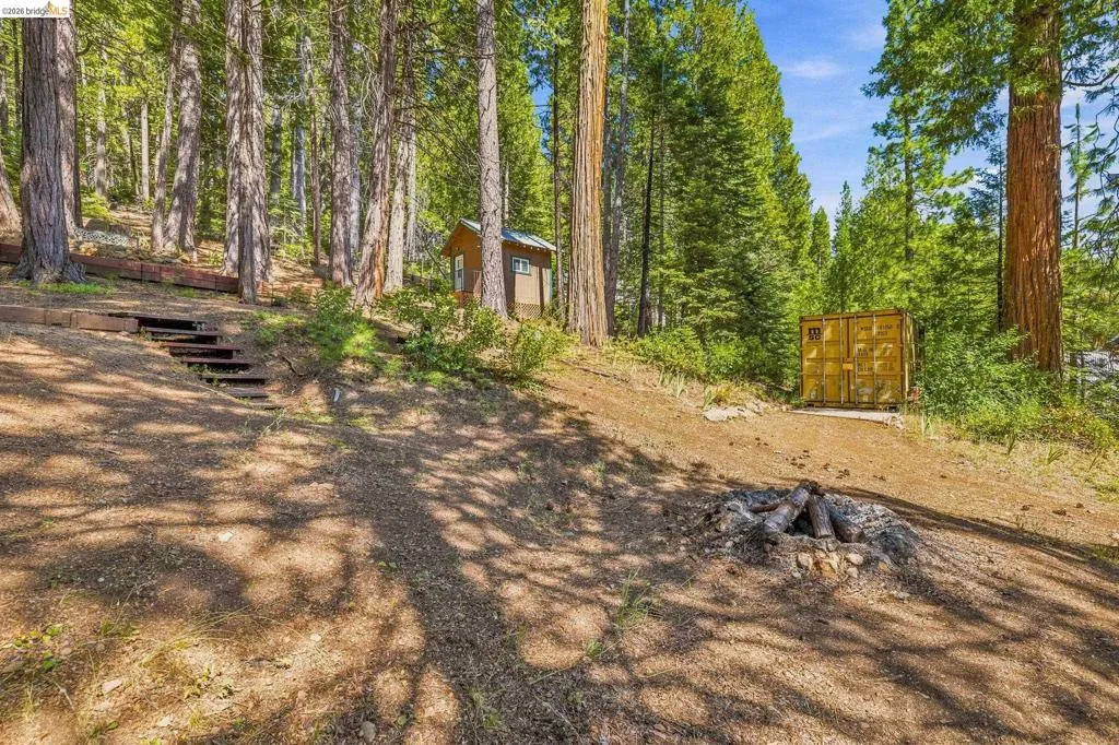 Wooded hillside property featuring a fire pit, timber retaining wall, and a small outbuilding