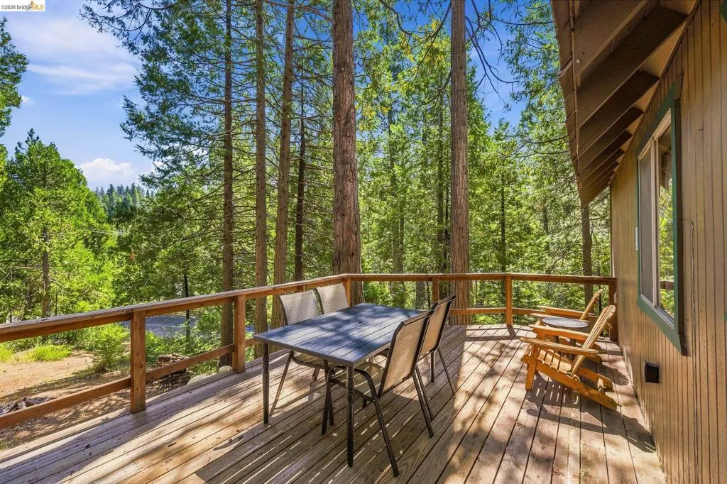 Spacious wood deck with a natural wood railing, featuring a panel siding exterior and a prominent window with green trim, surrounded by a dense forest of mature trees
