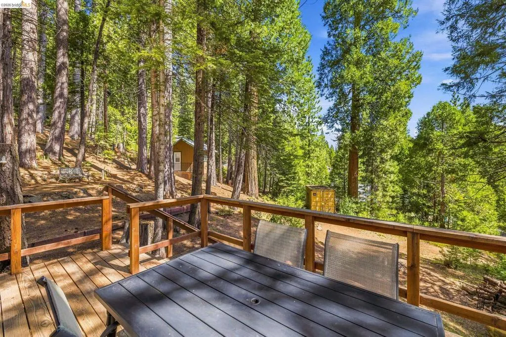 Spacious wood-finish deck with a natural wood railing, surrounded by a dense forest of mature trees
