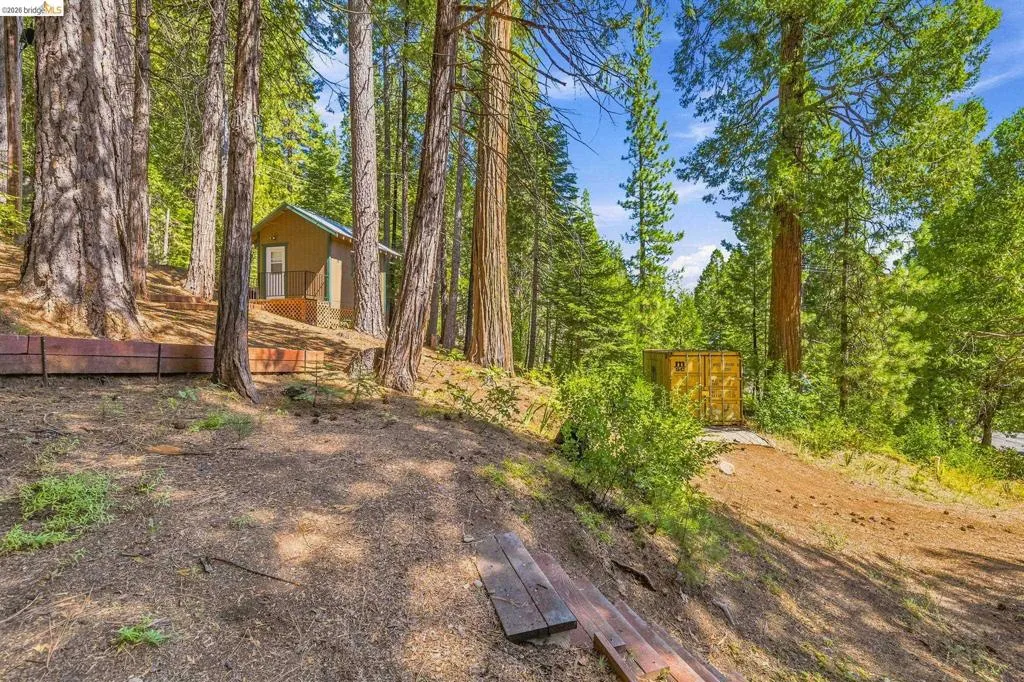 Wood-sided cabin featuring a covered deck, surrounded by mature trees