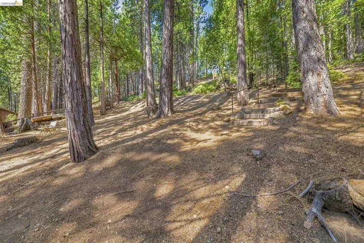 Wooded grounds featuring mature trees and natural landscaping