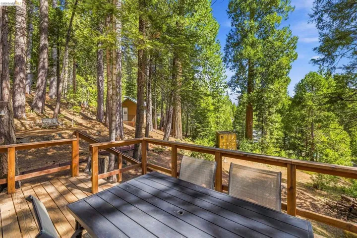 Spacious wood-finish deck with a natural wood railing, surrounded by a dense forest of mature trees