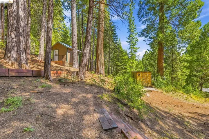 Wood-sided cabin featuring a covered deck, surrounded by mature trees