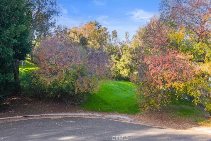 27281 Viewpoint, San Juan Capistrano, California 92675