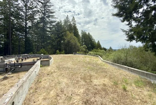 1374 Weston Ridge Road, Scotts Valley, California 95066