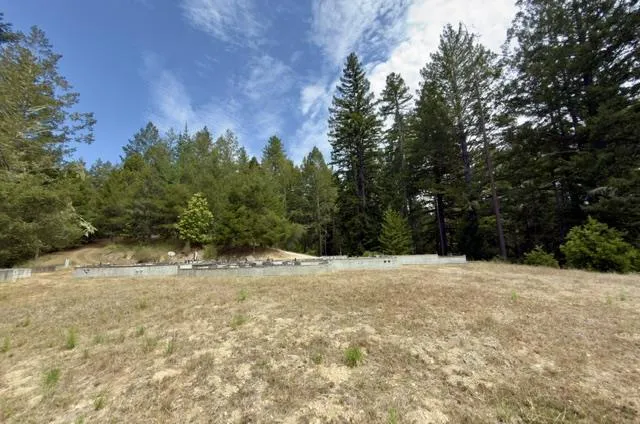 1374 Weston Ridge Road, Scotts Valley, California 95066