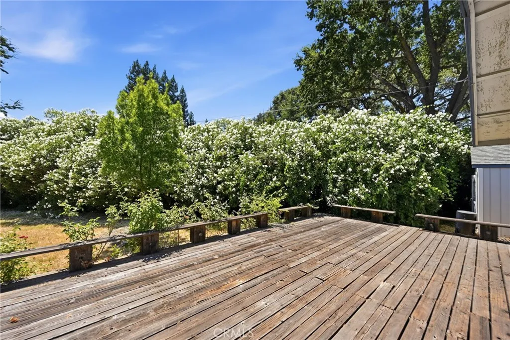 Large hedge between front yard and neighbors.