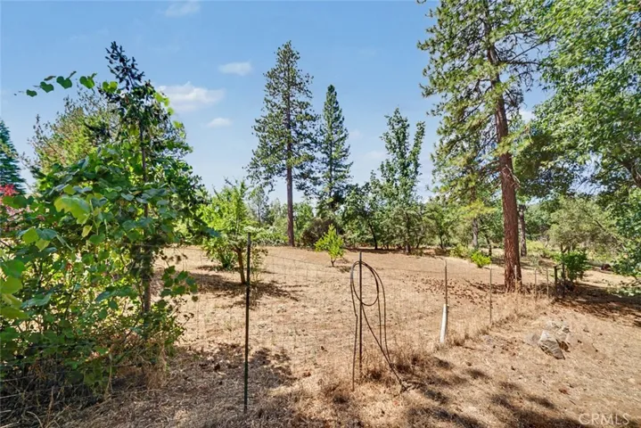 5627 Buckskin Road, Mariposa, California 95338