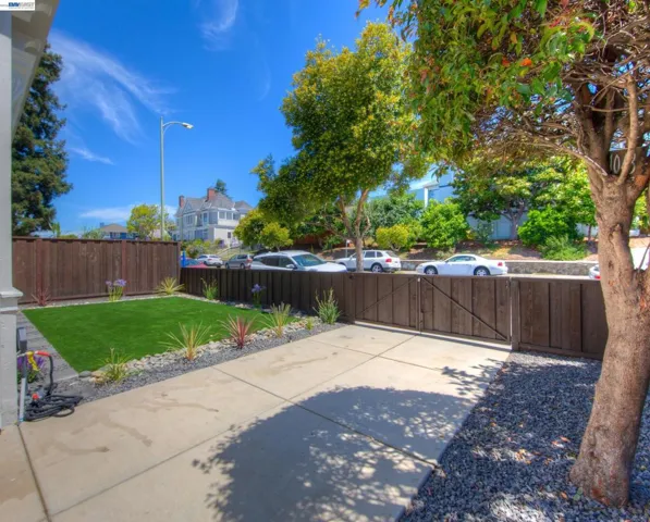Fencing Surround