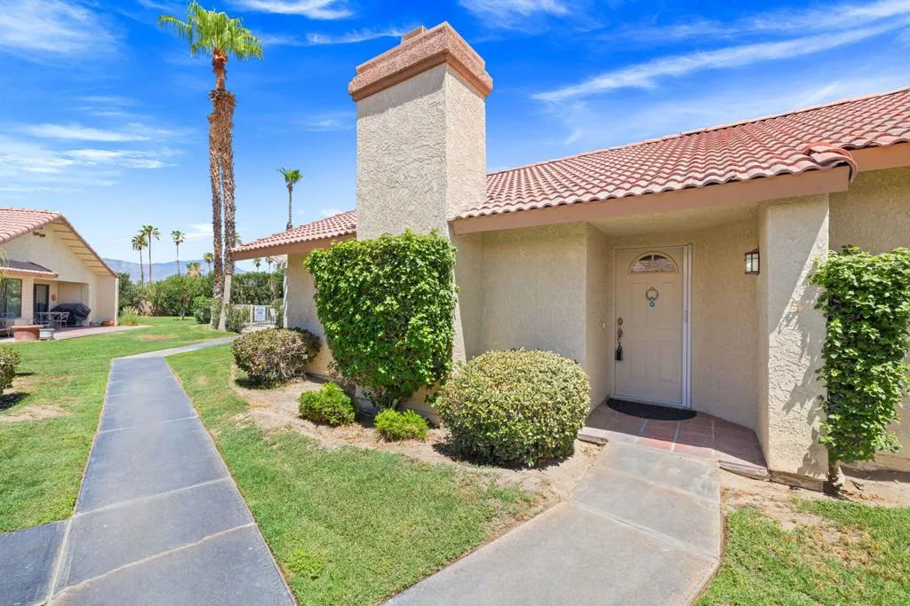 3-web-or-mls-249A4998