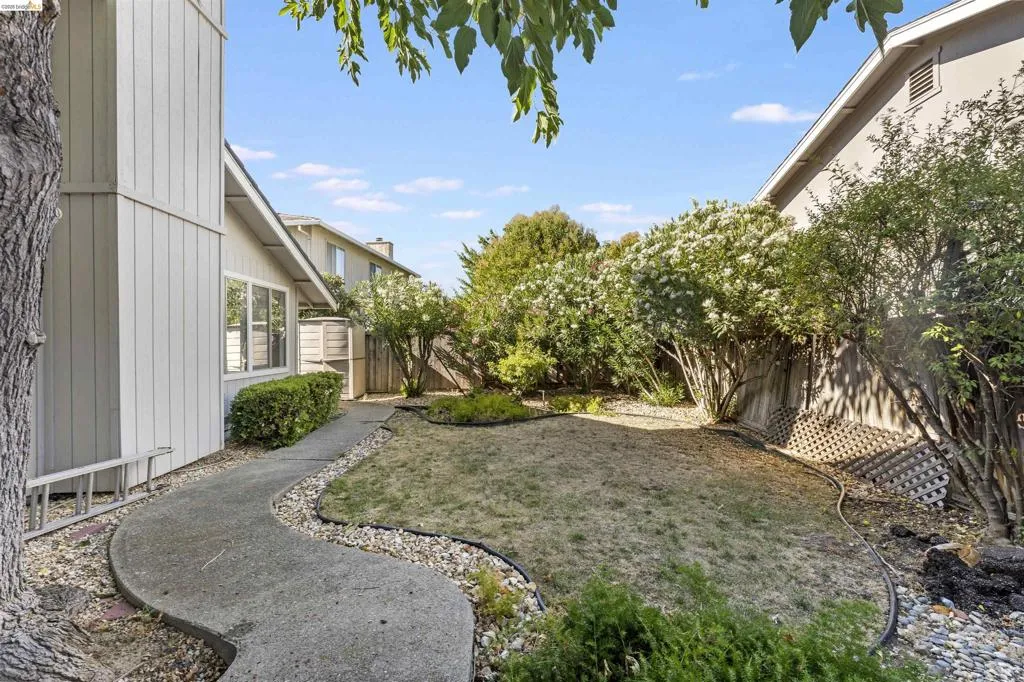 Expansive backyard space featuring a curved concrete pathway, a section of lawn, and a variety of mature trees and shrubs Expansive backyard space featuring a curved concrete pathway, a section of lawn, and a variety of mature trees and shrubs