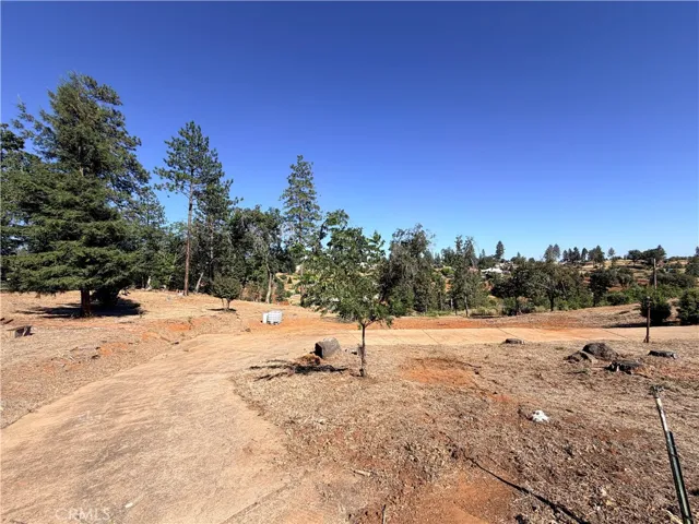 circular driveway